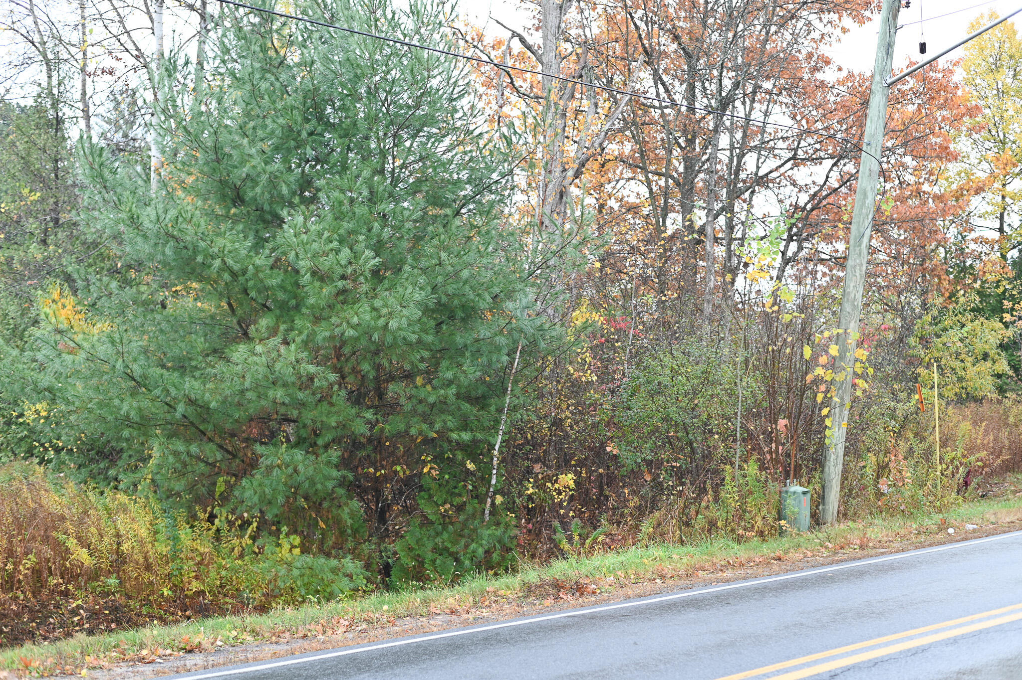 0.0 Stafford Road Plattsburgh NY 12901