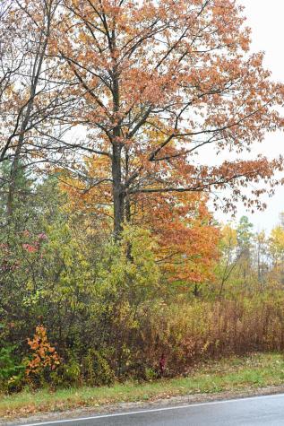 0.0 Stafford Road Plattsburgh NY 12901