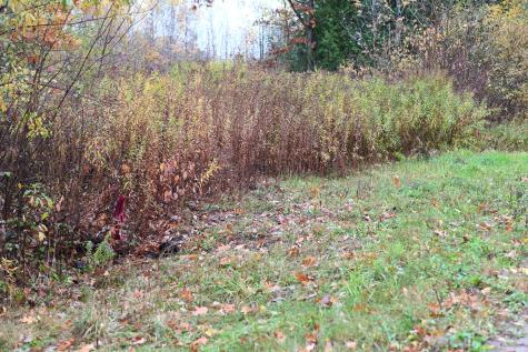 0.0 Stafford Road Plattsburgh NY 12901