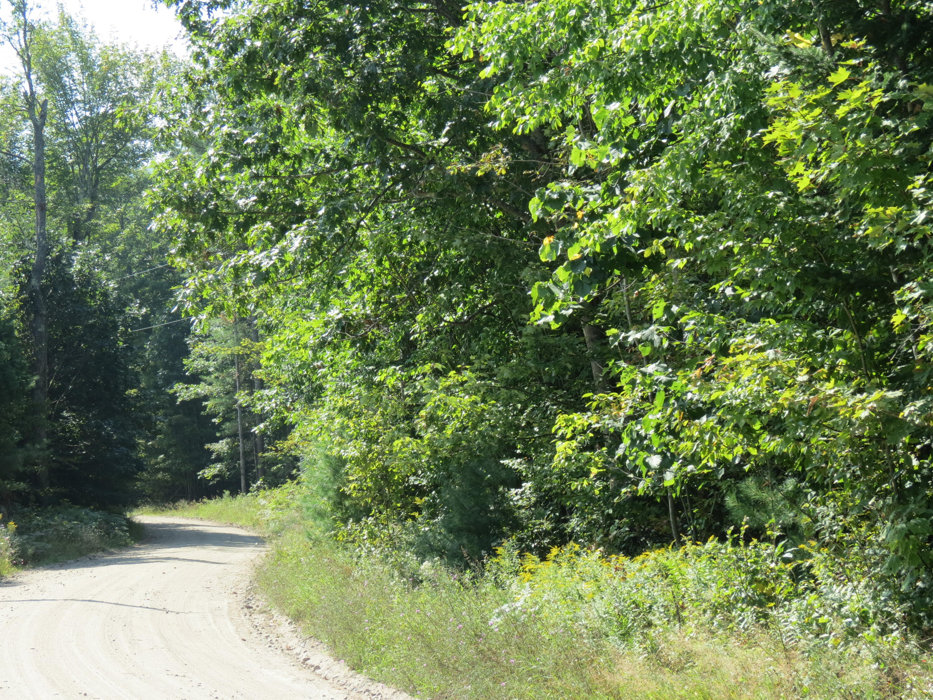 00 Nugent Lane Jay NY 12941