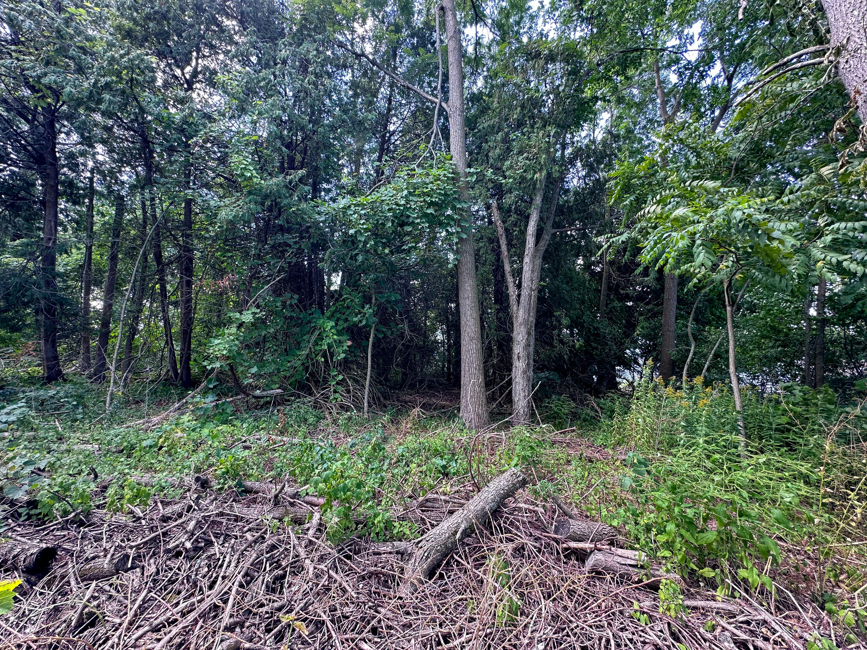 0 Sunnyside Road Plattsburgh NY 12901
