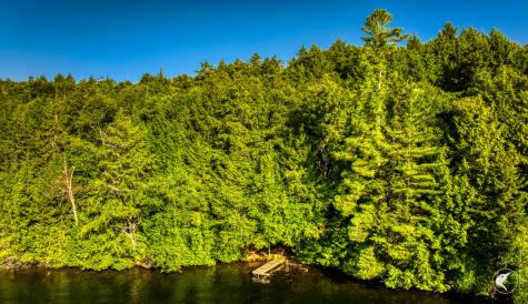 Pier 51 12 George & Bliss Lane Lake Placid NY 12946