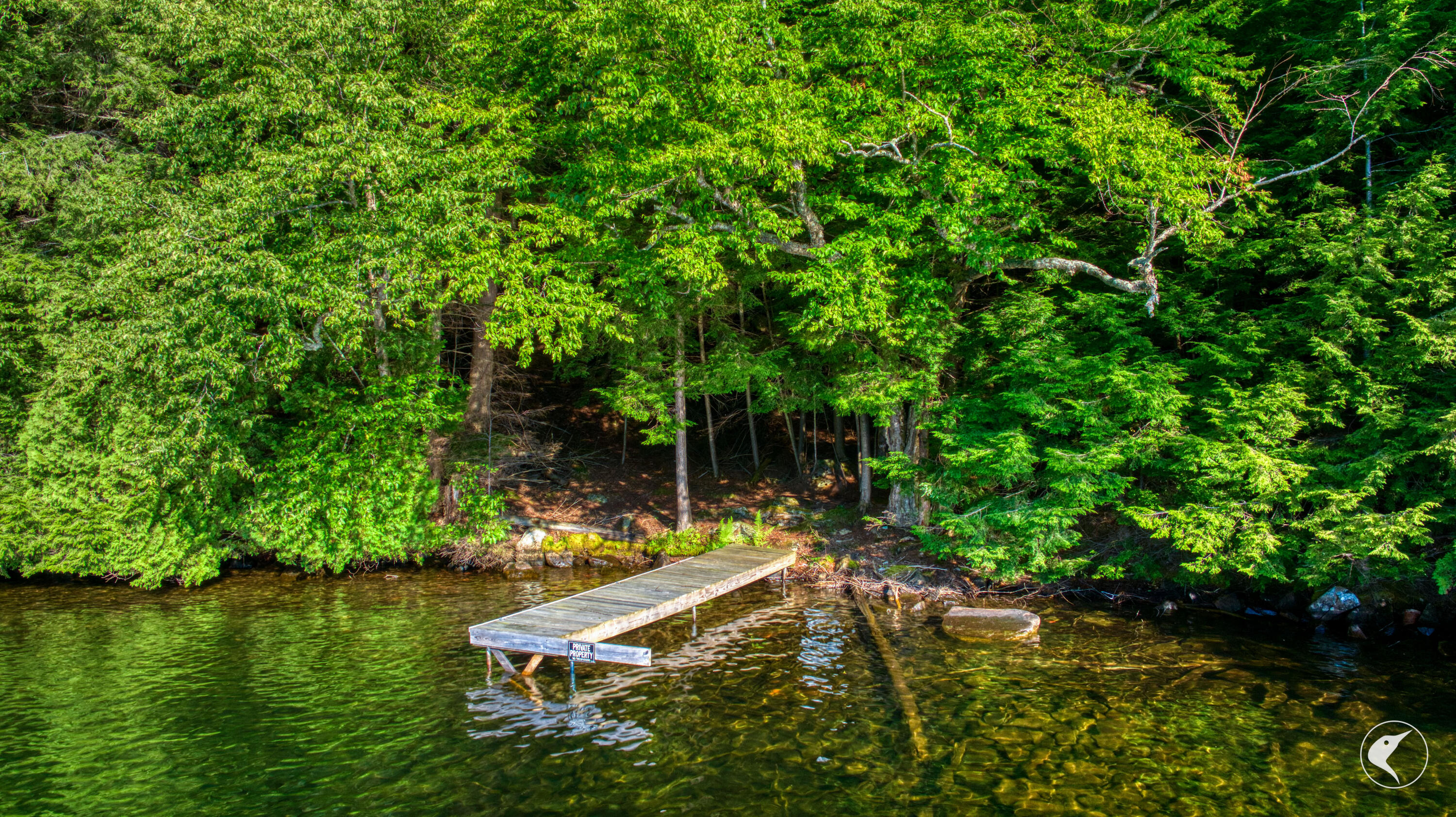 Pier 51 12 George & Bliss Lane Lake Placid NY 12946