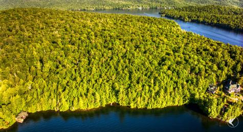 Pier 51 12 George & Bliss Lane Lake Placid NY 12946