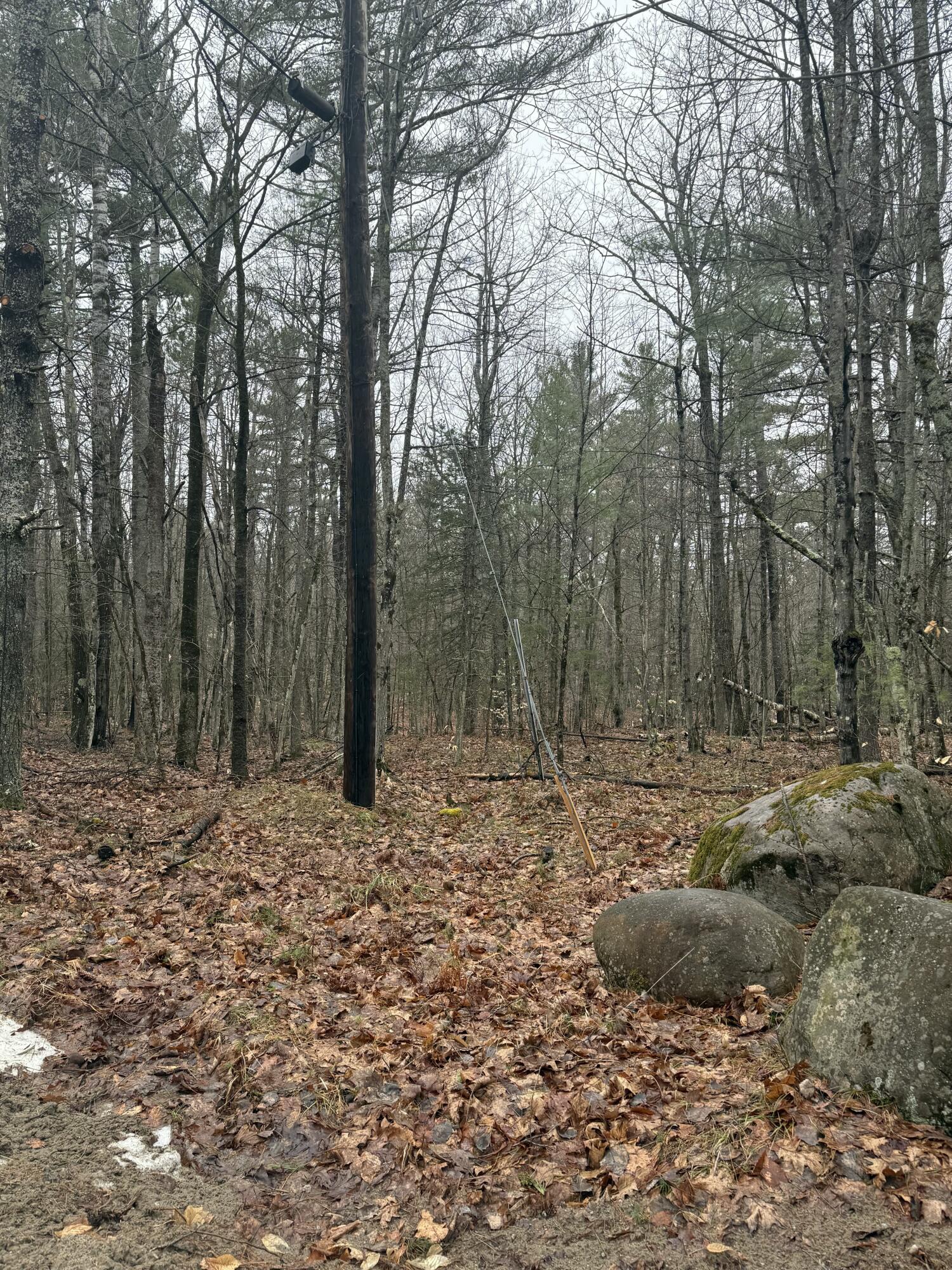 Tbd Sequoia Mountain Lane Jay NY 12941