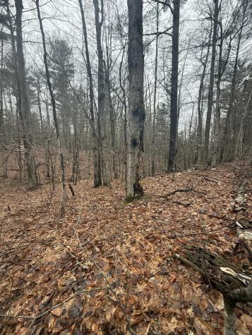Tbd Sequoia Mountain Lane Jay NY 12941