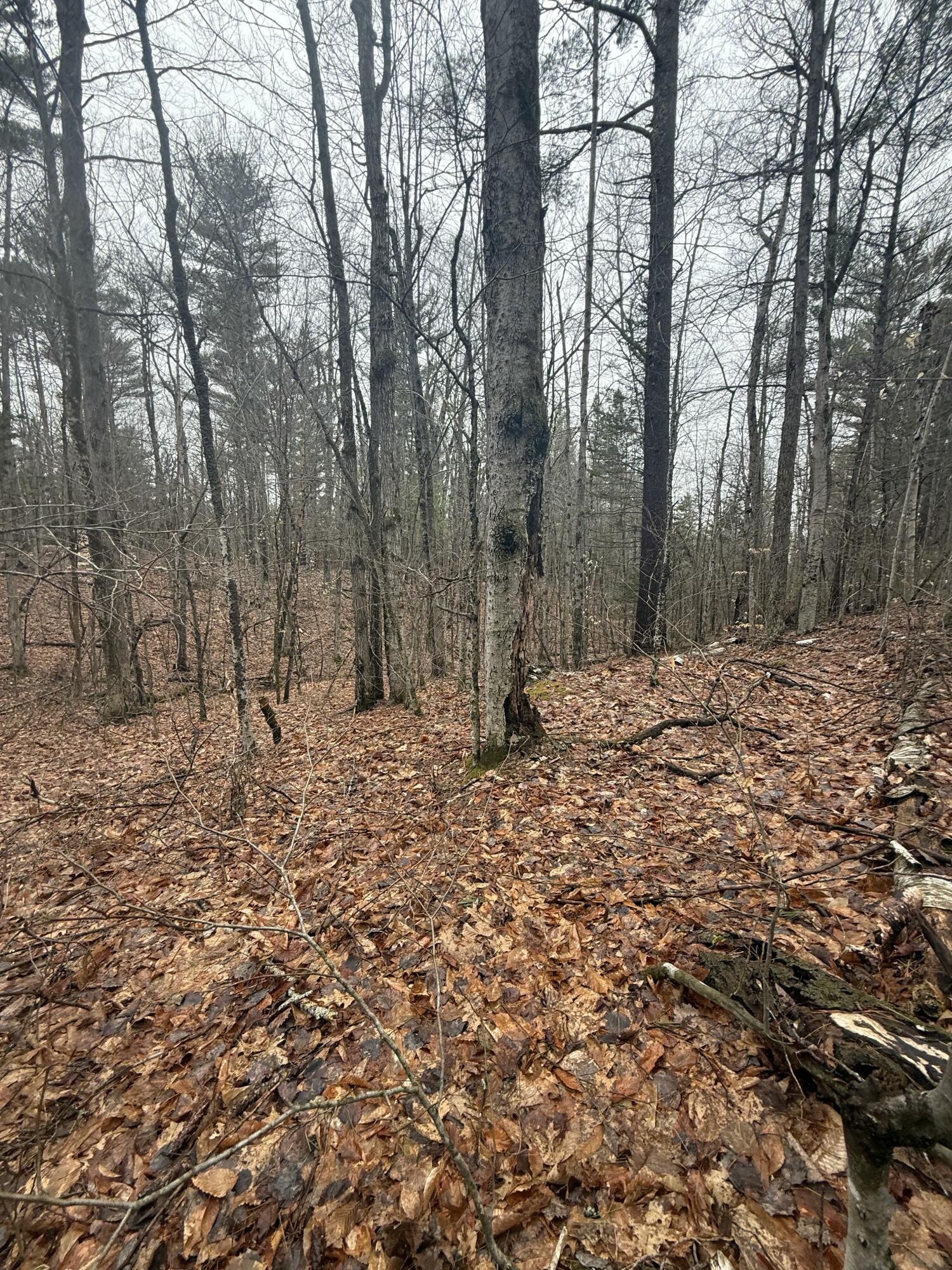 Tbd Sequoia Mountain Lane Jay NY 12941