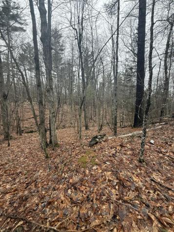Tbd Sequoia Mountain Lane Jay NY 12941