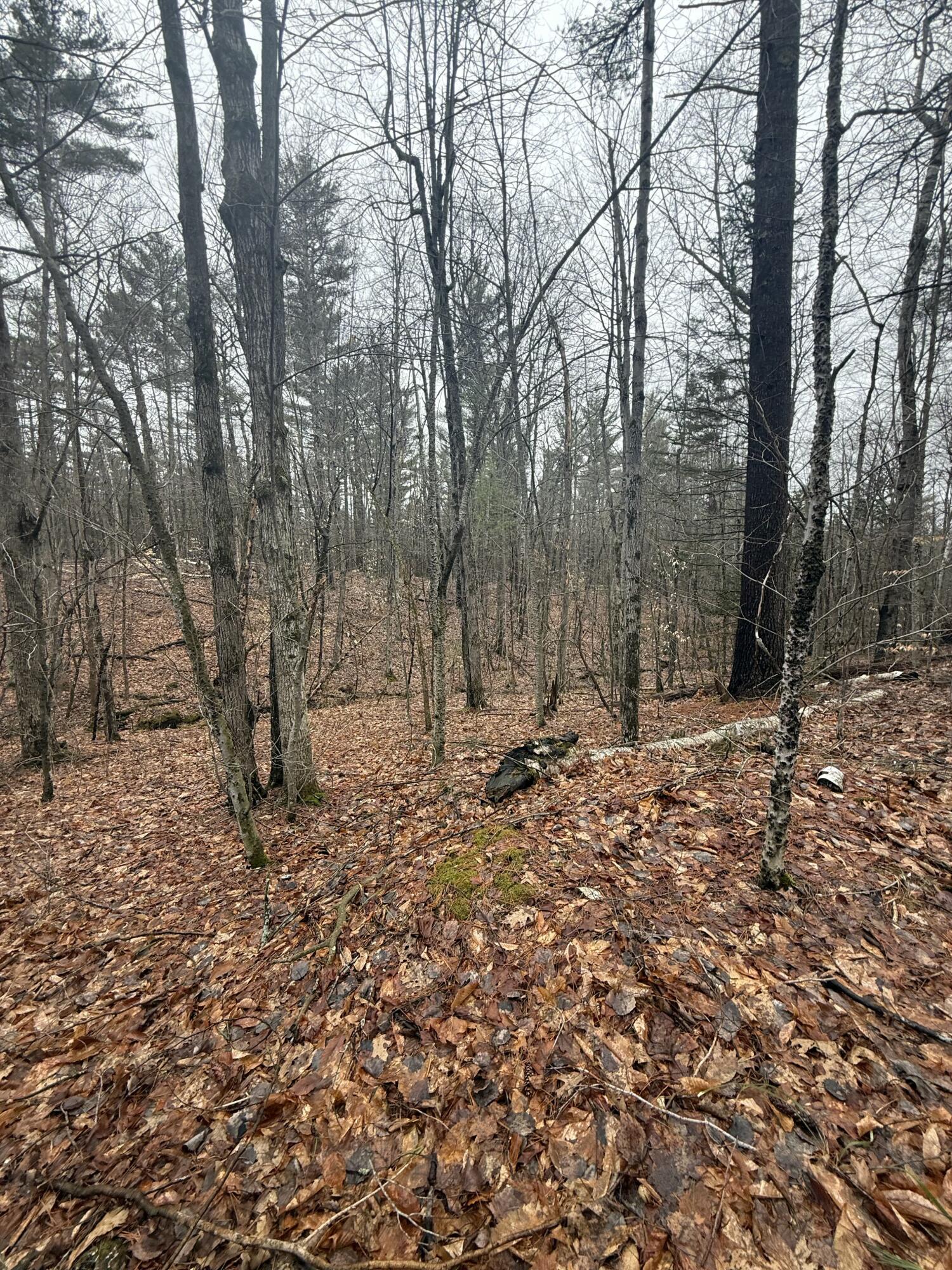 Tbd Sequoia Mountain Lane Jay NY 12941