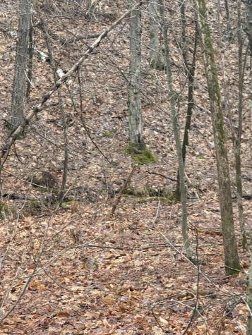 Tbd Sequoia Mountain Lane Jay NY 12941