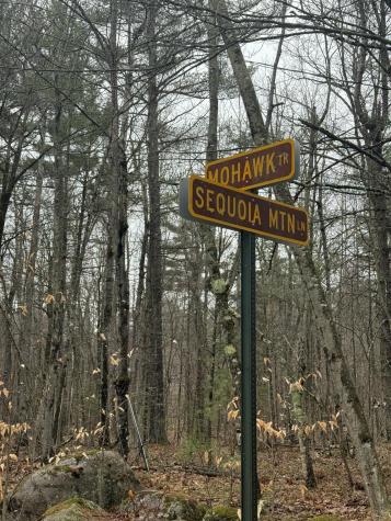Tbd Sequoia Mountain Lane Jay NY 12941