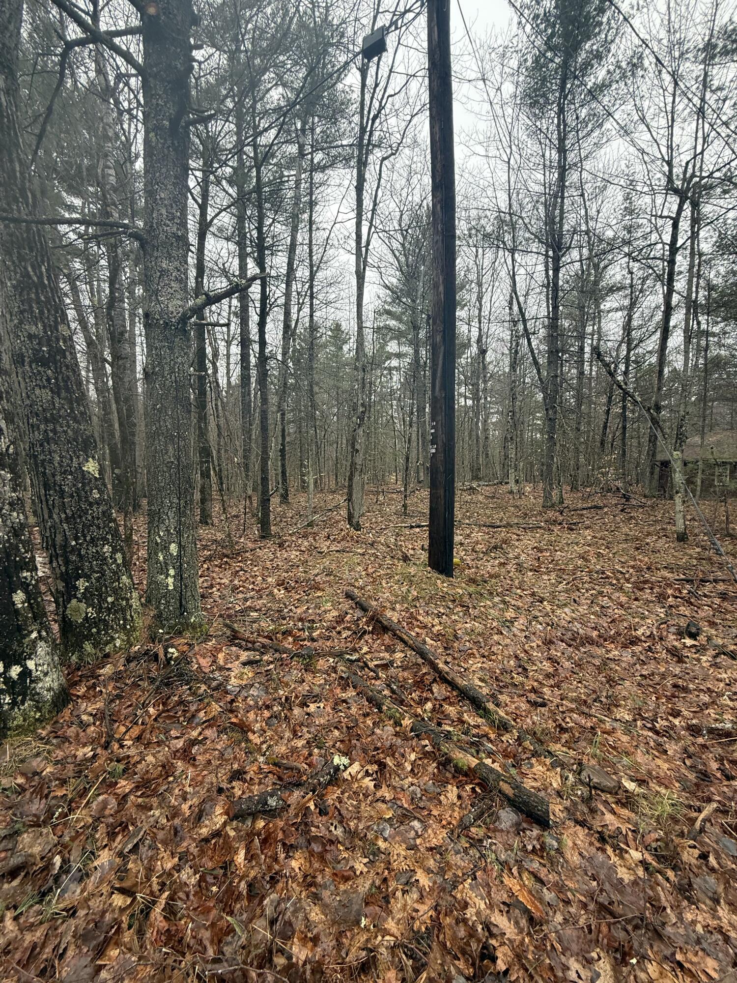 Tbd Sequoia Mountain Lane Jay NY 12941