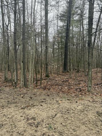 Tbd Sequoia Mountain Lane Jay NY 12941