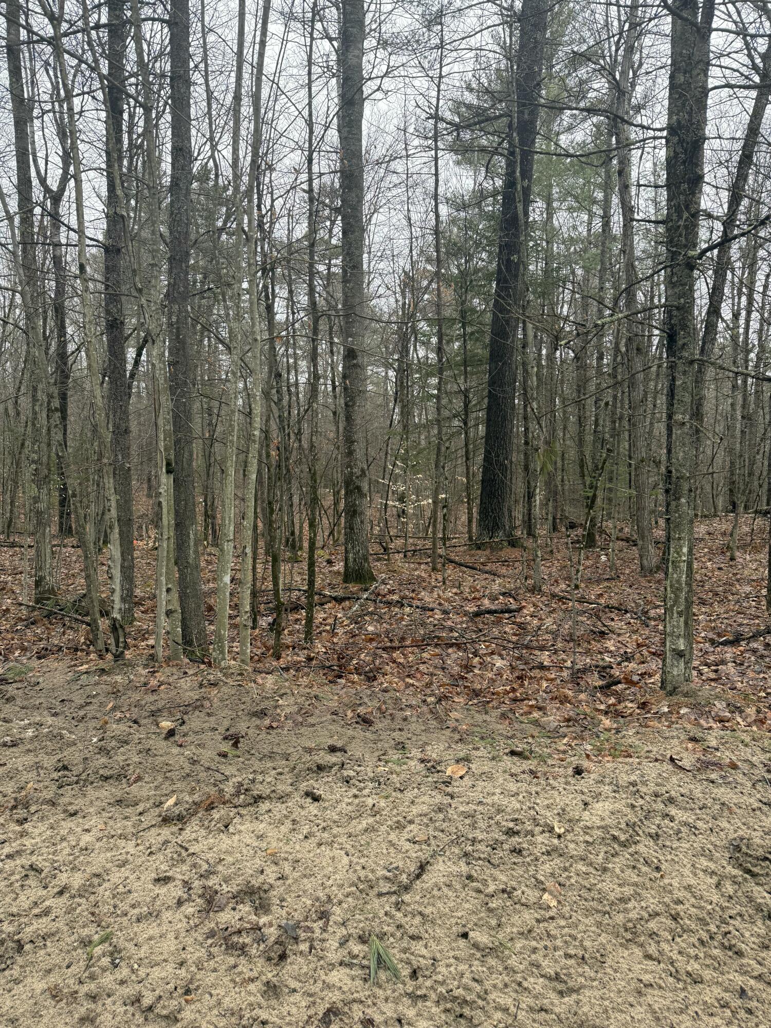 Tbd Sequoia Mountain Lane Jay NY 12941