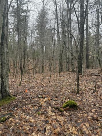 Tbd Sequoia Mountain Lane Jay NY 12941