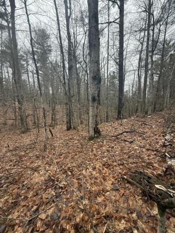 Tbd Sequoia Mountain Lane Jay NY 12941