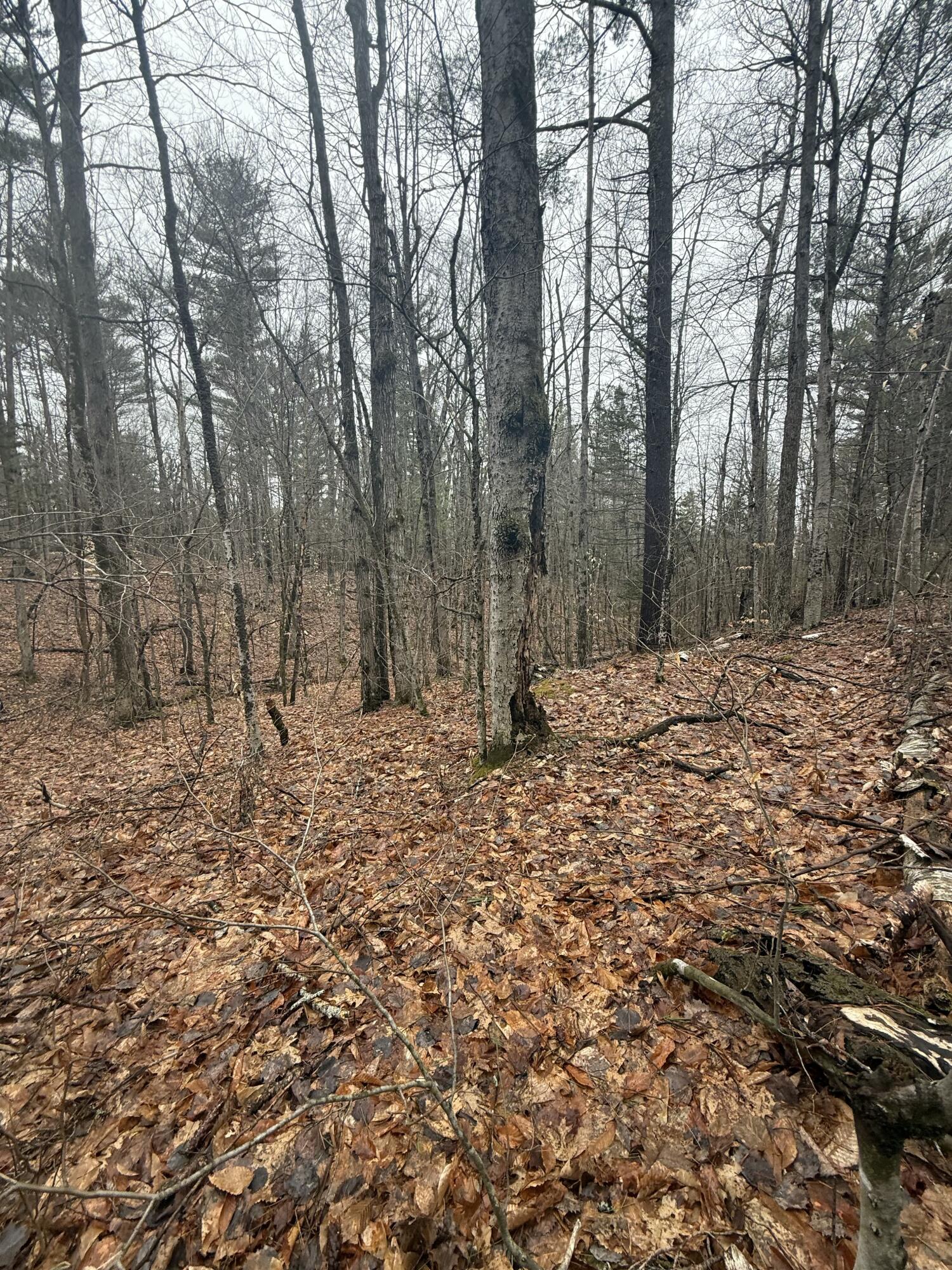 Tbd Sequoia Mountain Lane Jay NY 12941