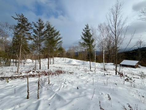 0 Nys Route 86 Jay NY 12941