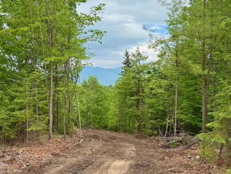 0 Nys Route 86 Jay NY 12941