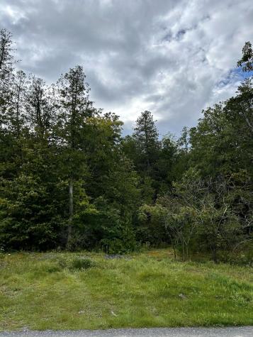 0 Bluff Point Drive Lot 44 Plattsburgh NY 12901