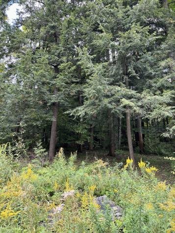 0 Bluff Point Drive Lot 44 Plattsburgh NY 12901