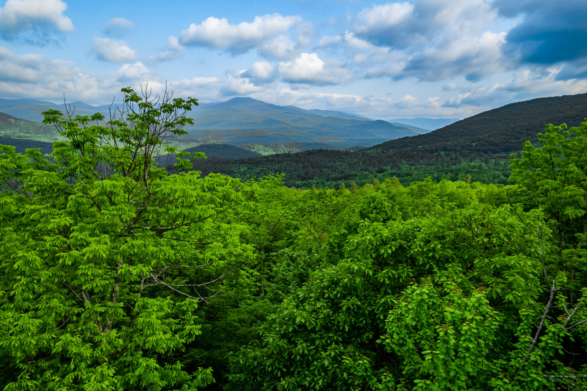 0 Moose Hill Way Keene NY 12942