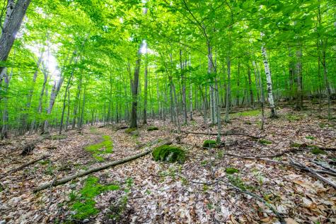 0 Moose Hill Way Keene NY 12942