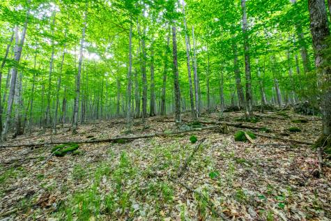 0 Moose Hill Way Keene NY 12942