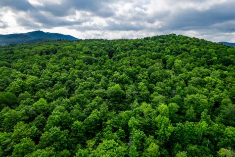 0 Moose Hill Way Keene NY 12942