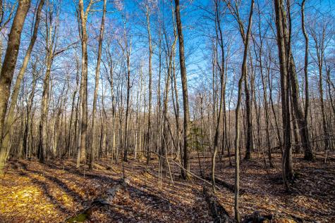 0 Moose Hill Way Keene NY 12942