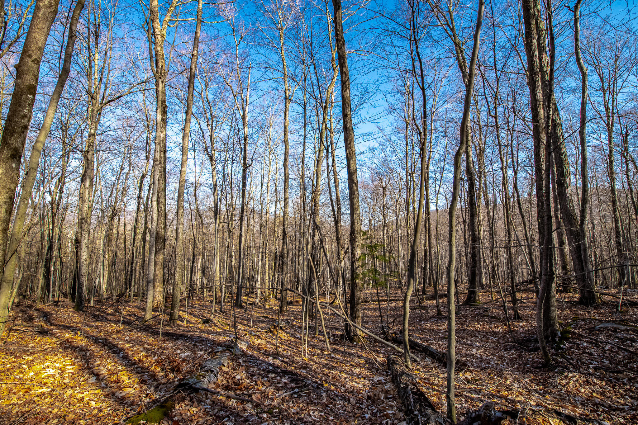 0 Moose Hill Way Keene NY 12942