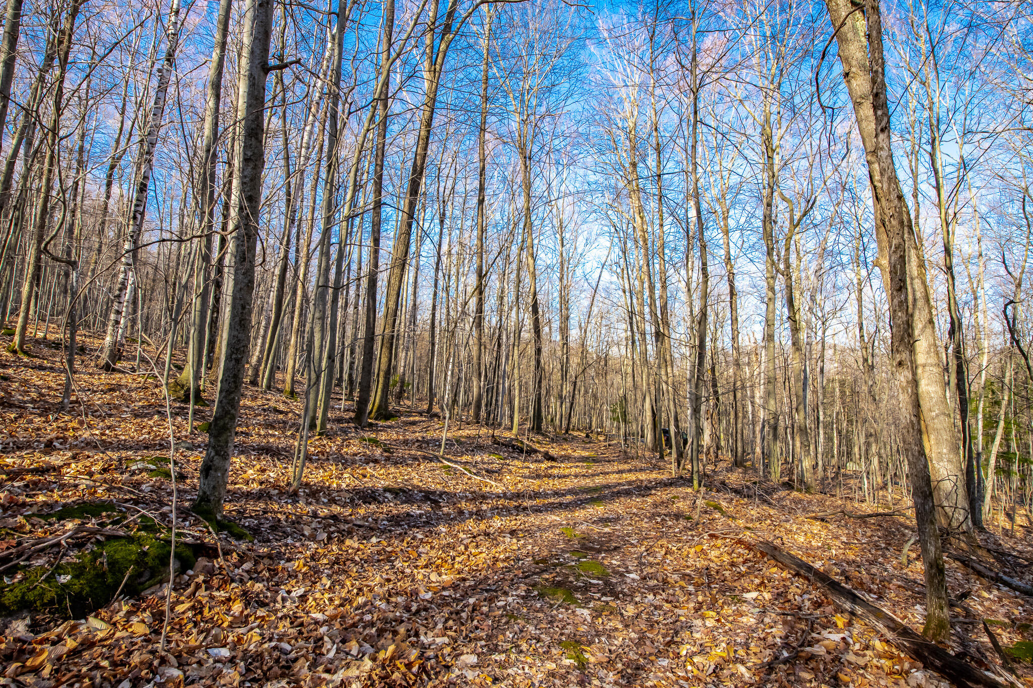 0 Moose Hill Way Keene NY 12942