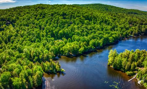 Lot 7 Oseetah Woods Road Saranac Lake NY 12983