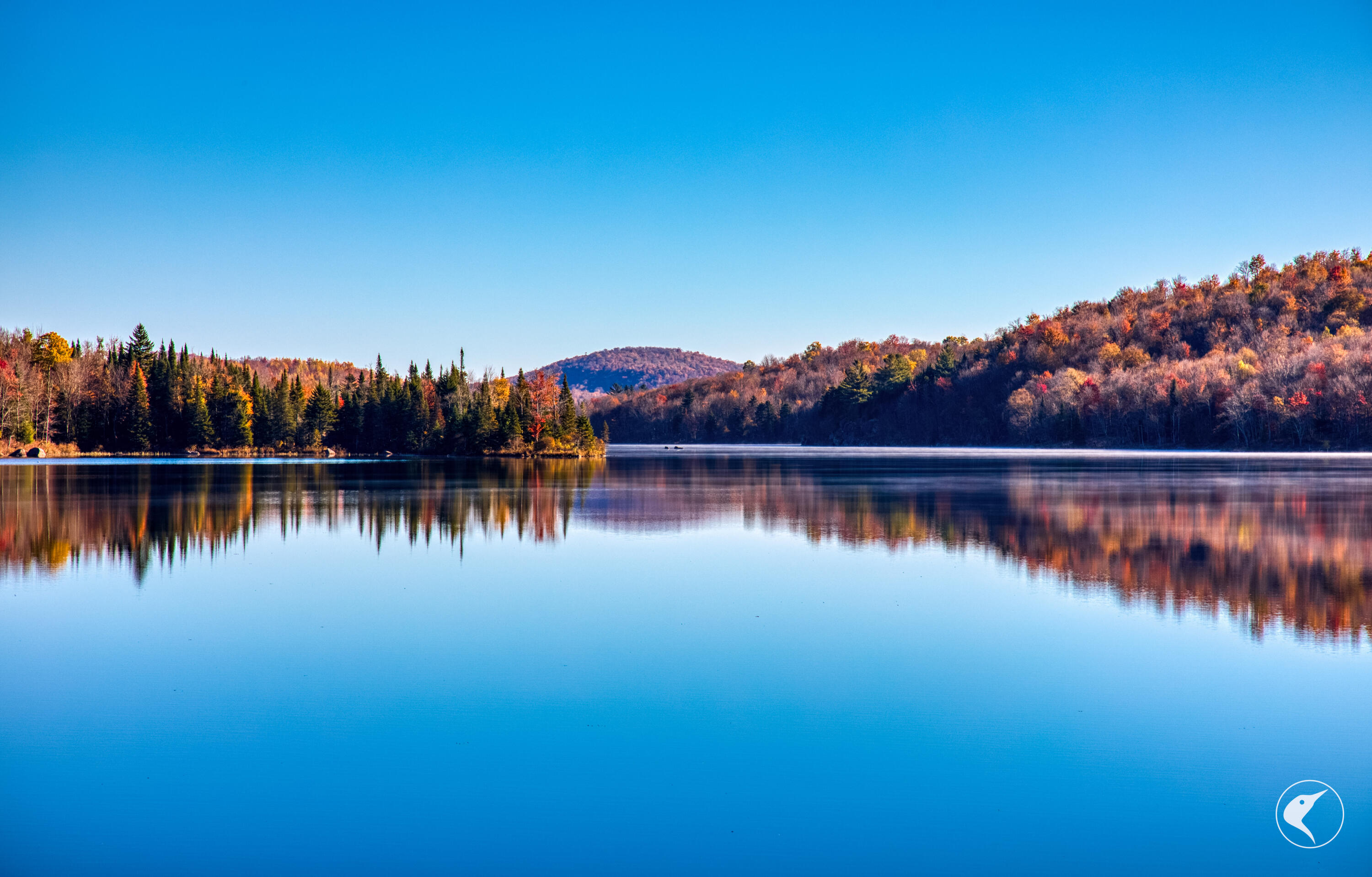 4891 State Route 3 Star Lake NY 13690