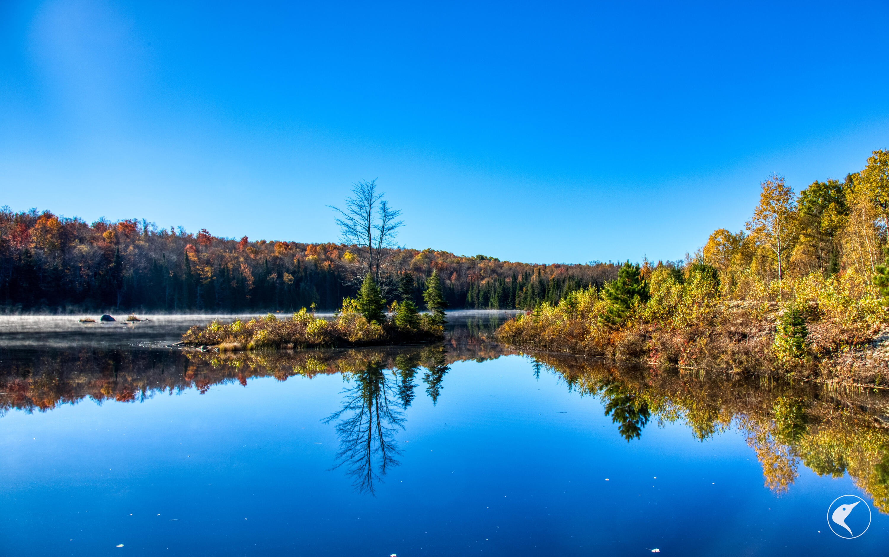 4891 State Route 3 Star Lake NY 13690