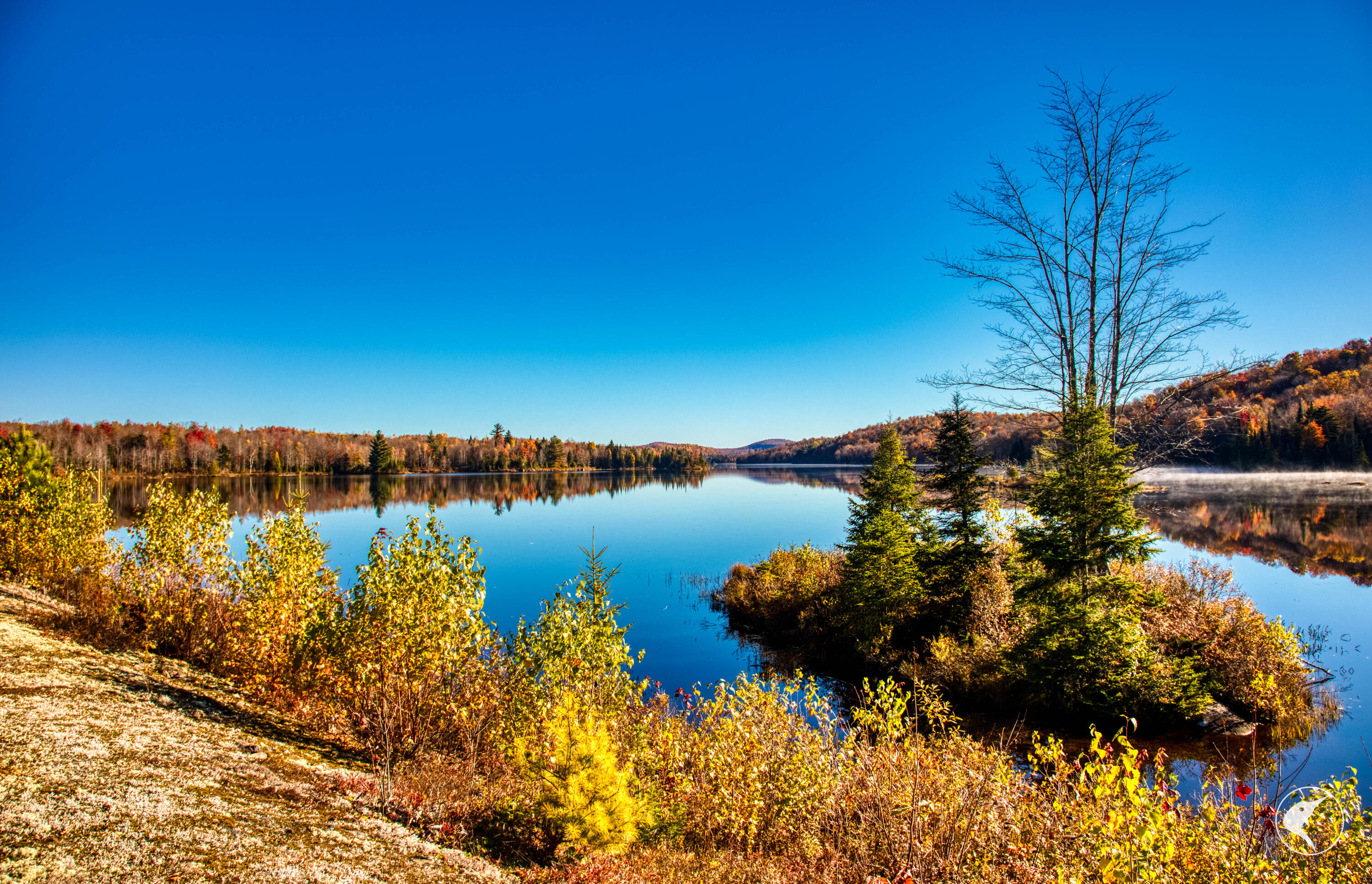 4891 State Route 3 Star Lake NY 13690