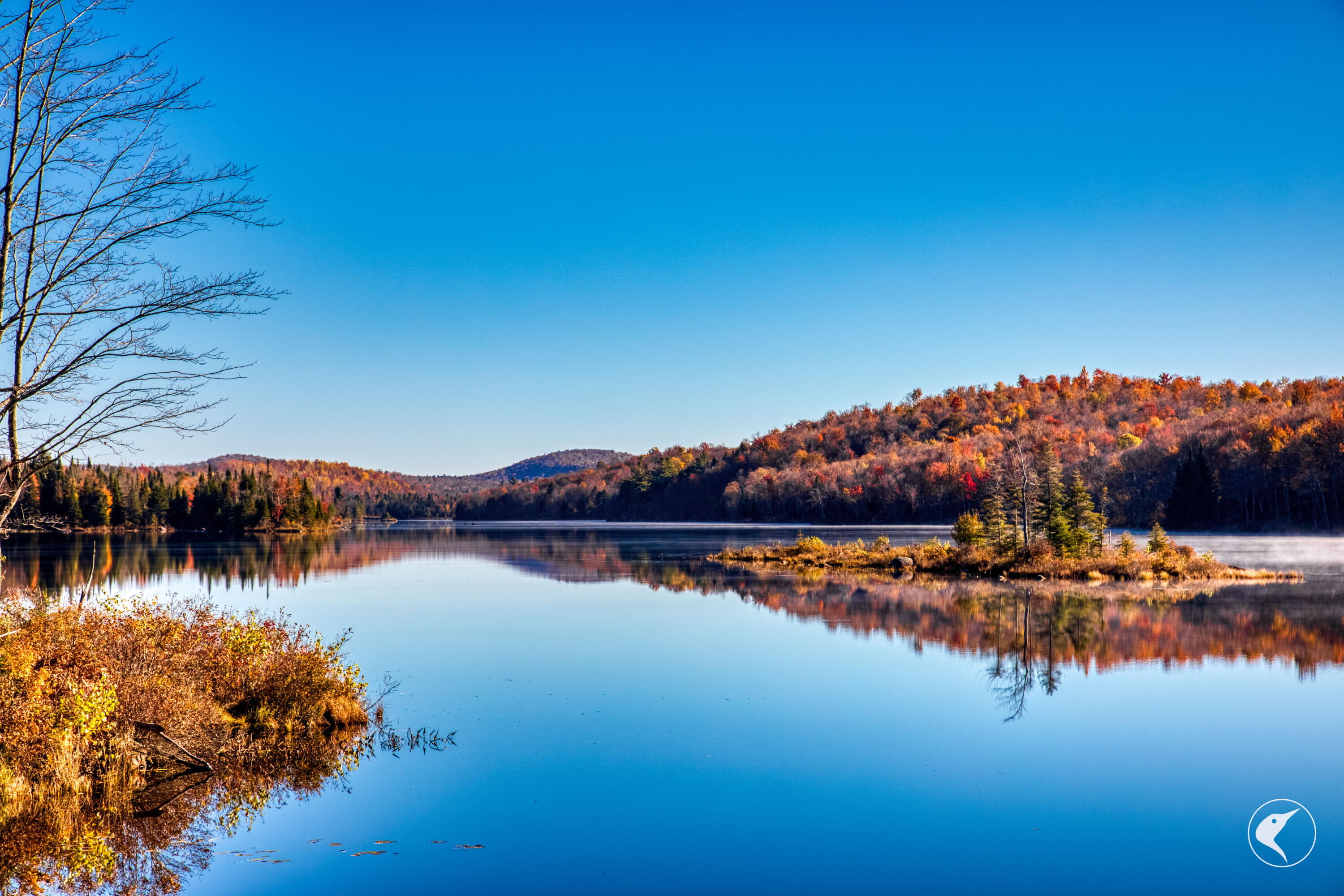 4891 State Route 3 Star Lake NY 13690
