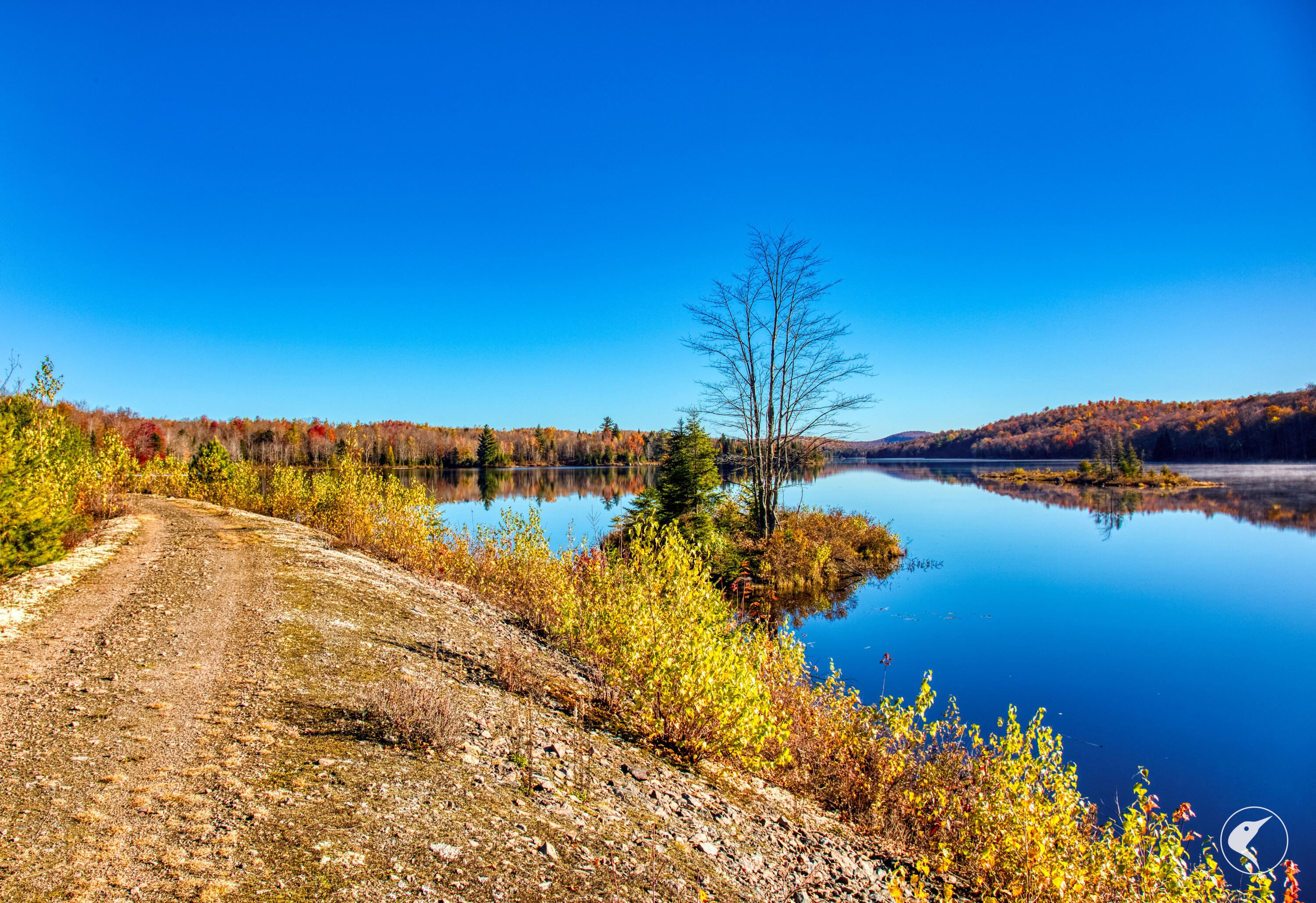 4891 State Route 3 Star Lake NY 13690