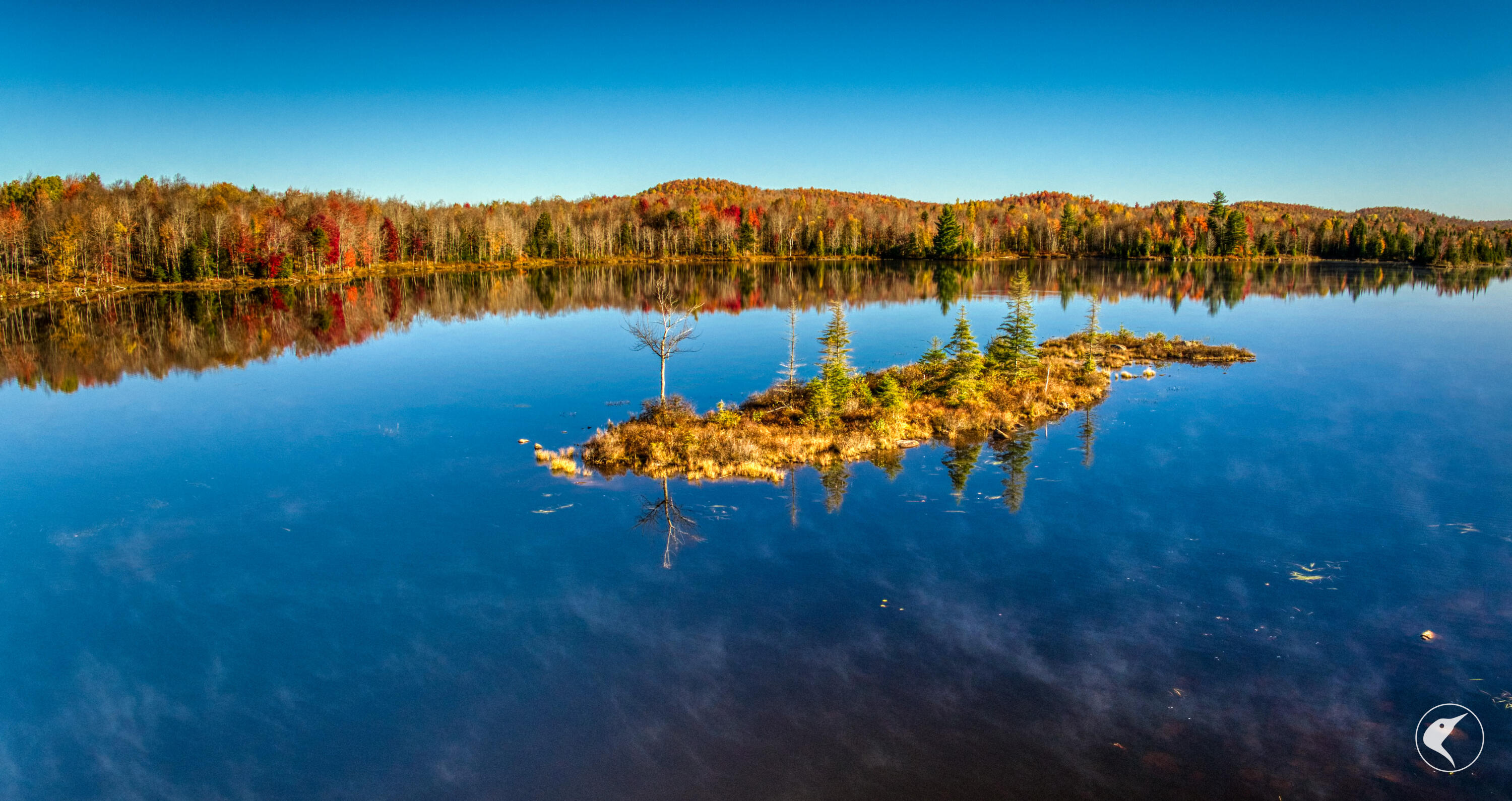 4891 State Route 3 Star Lake NY 13690