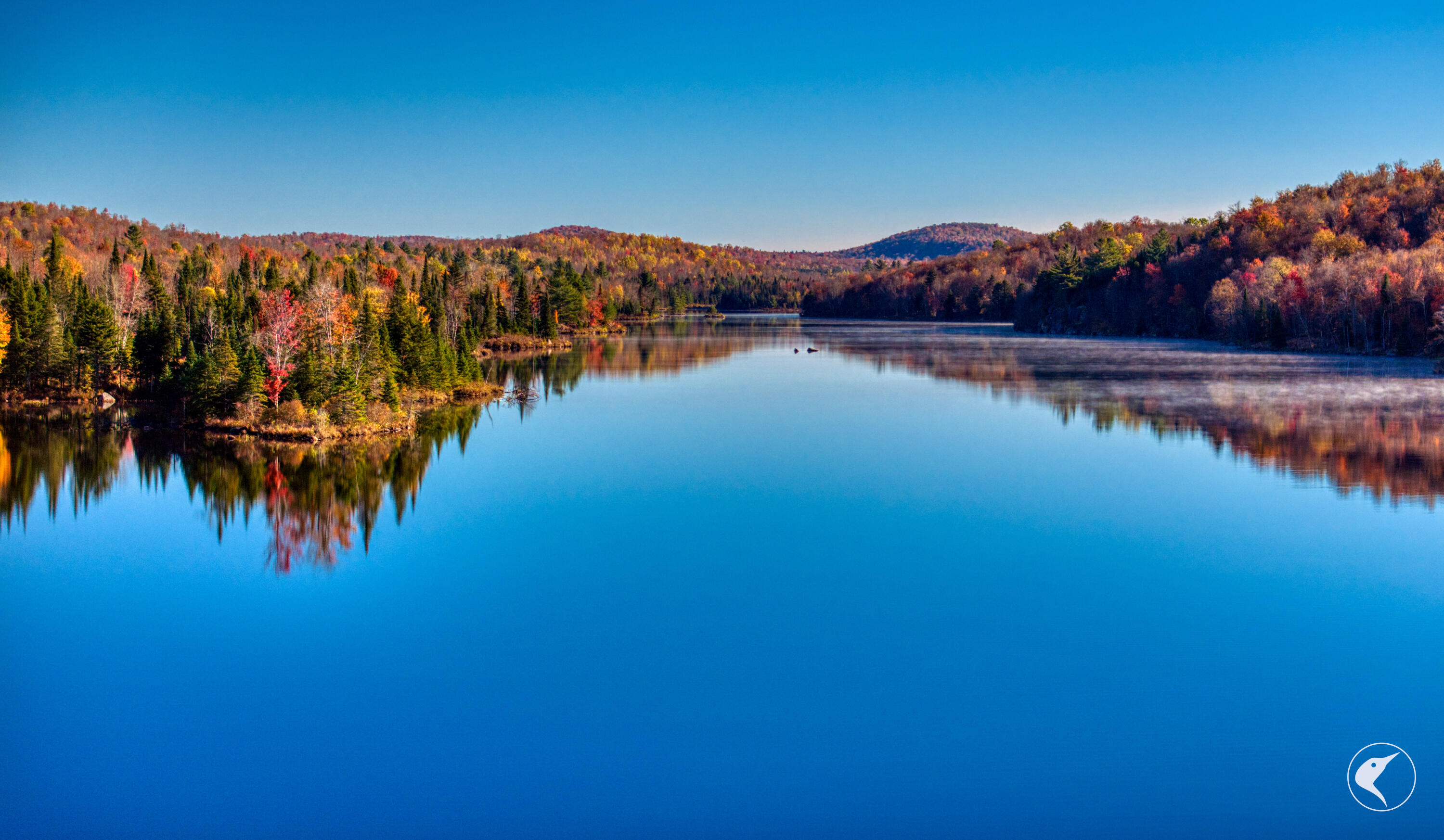 4891 State Route 3 Star Lake NY 13690