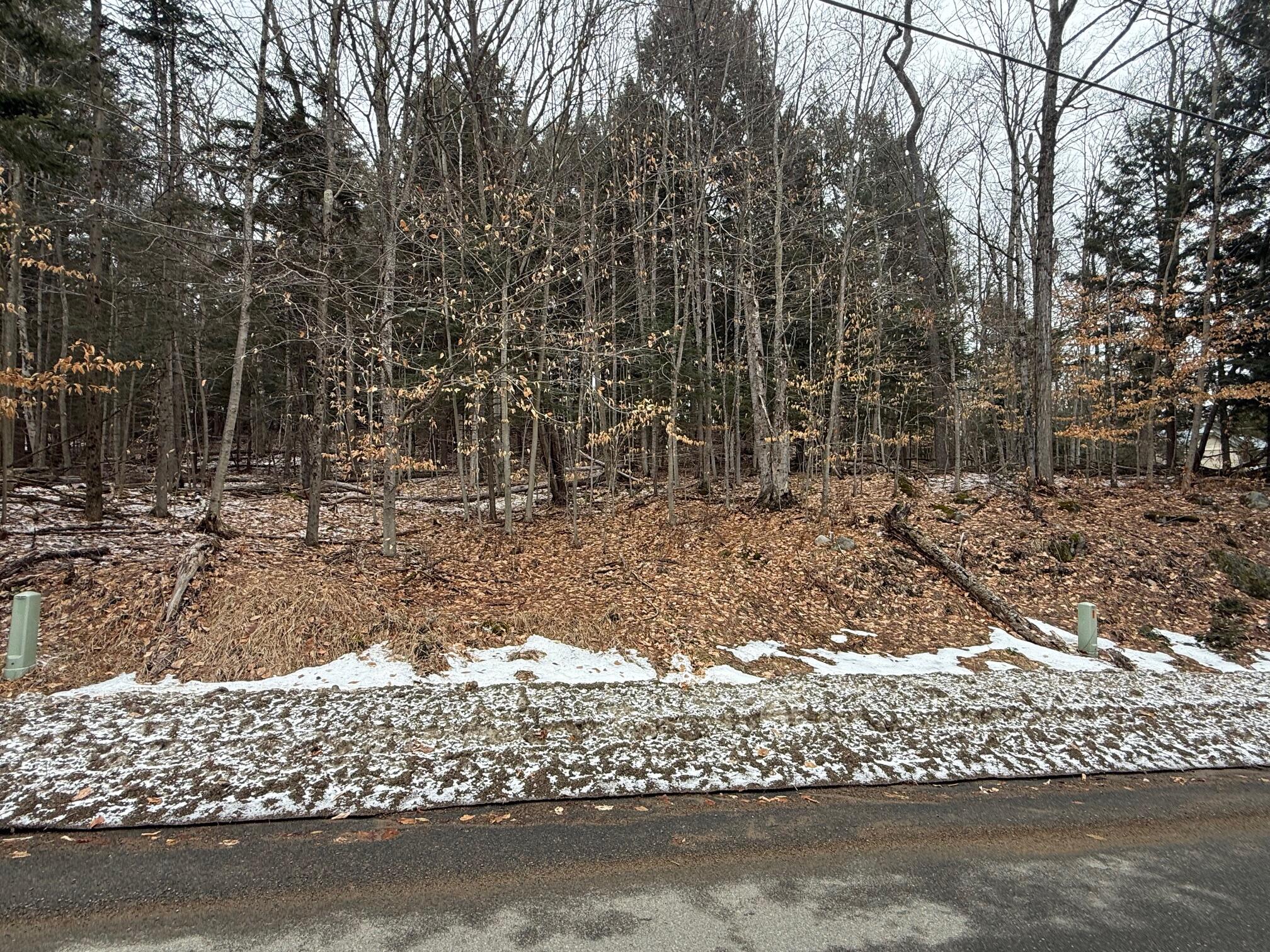 0 Glenwood Drive Saranac Lake NY 12983