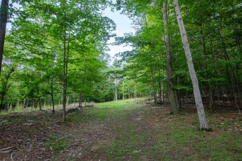 0 Manning Road Wilmington NY 12997