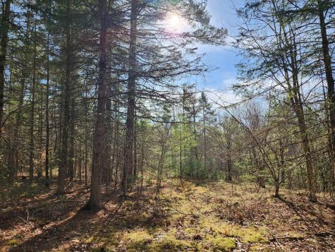 151 Church Lane Au Sable Forks NY 12912
