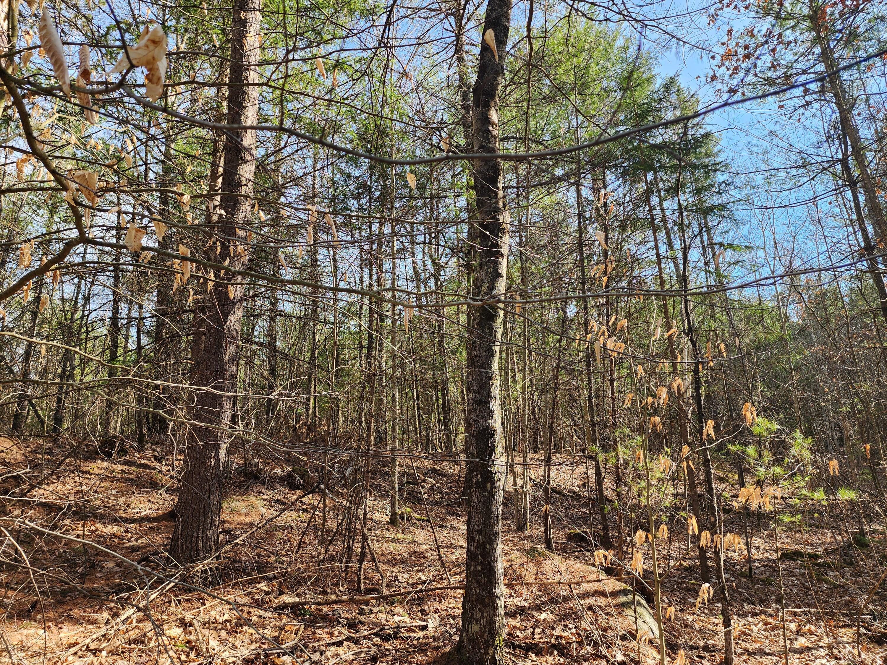151 Church Lane Au Sable Forks NY 12912