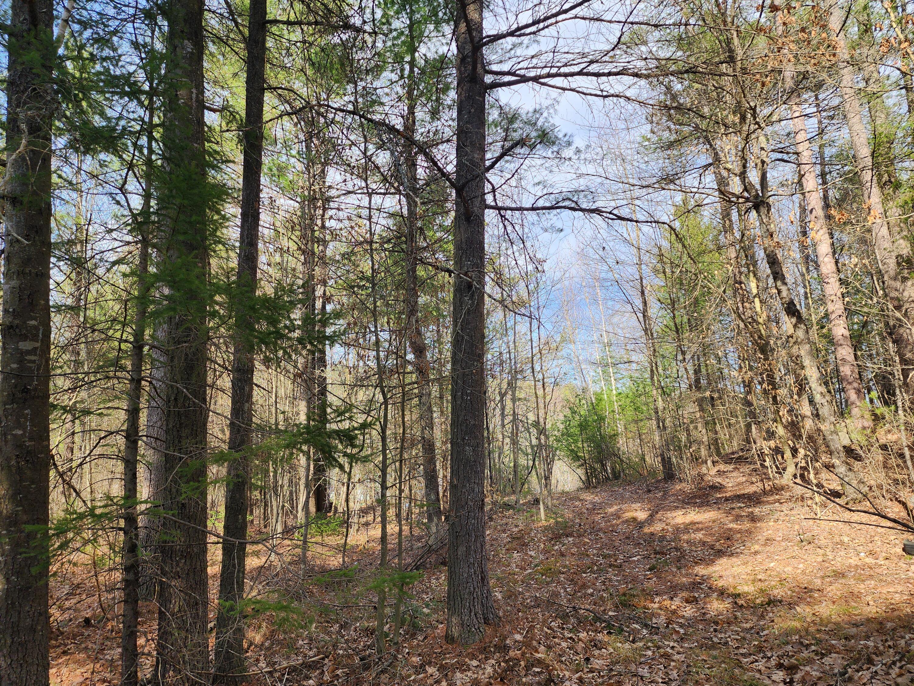 151 Church Lane Au Sable Forks NY 12912