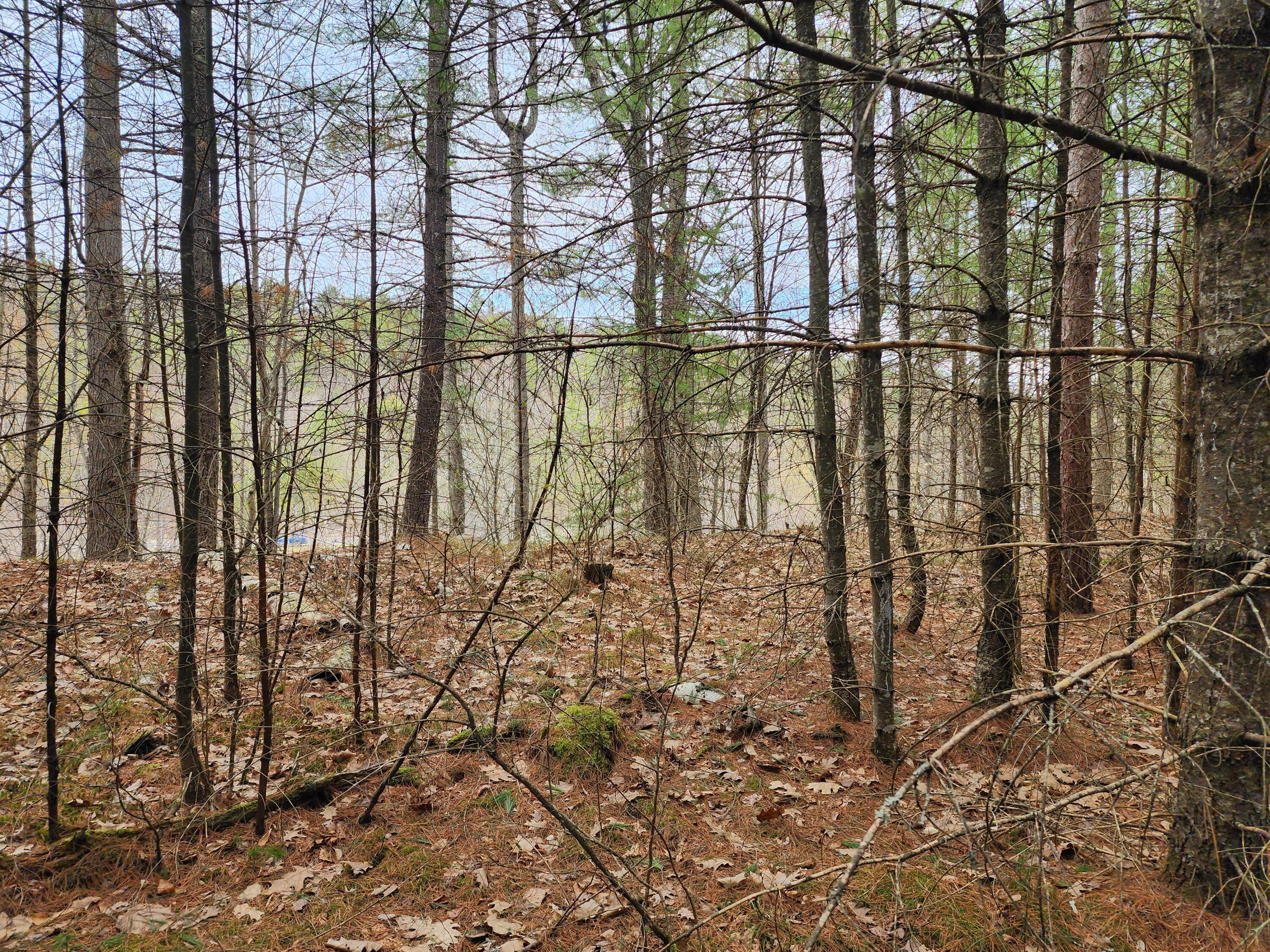 151 Church Lane Au Sable Forks NY 12912