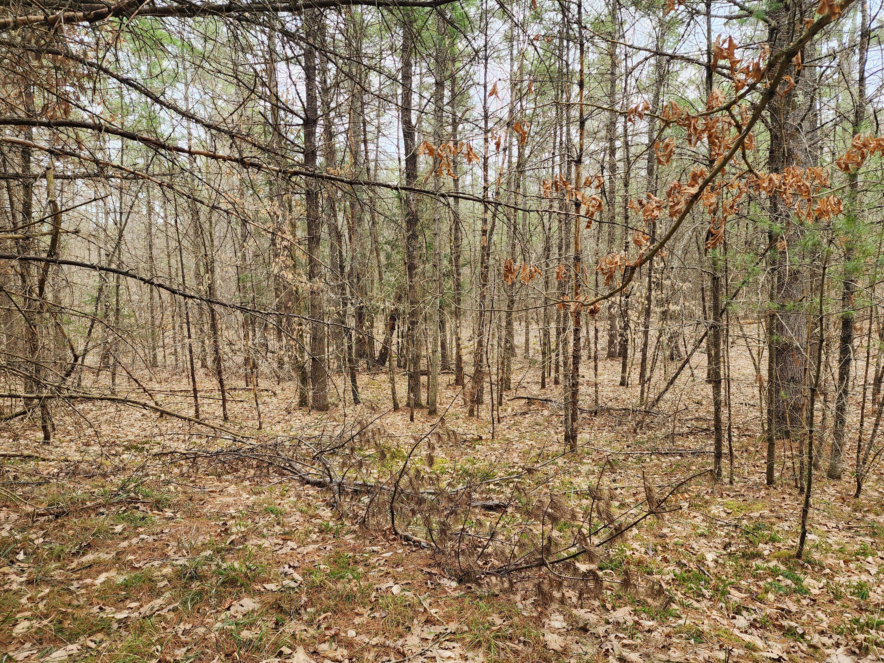 151 Church Lane Au Sable Forks NY 12912
