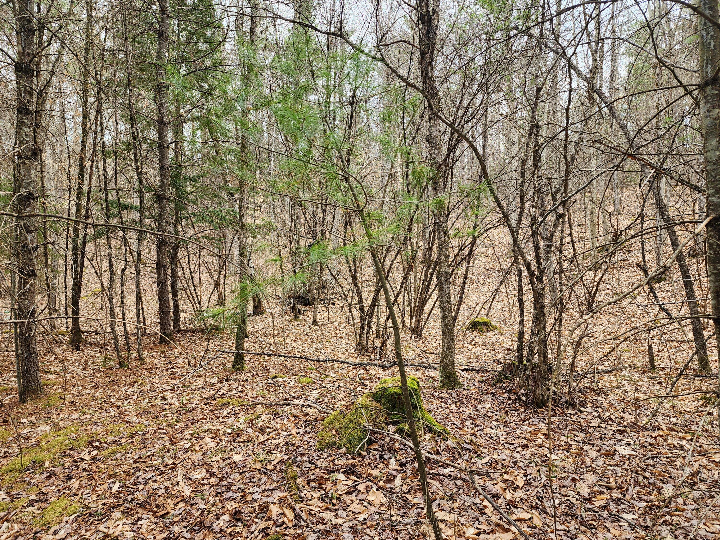 151 Church Lane Au Sable Forks NY 12912