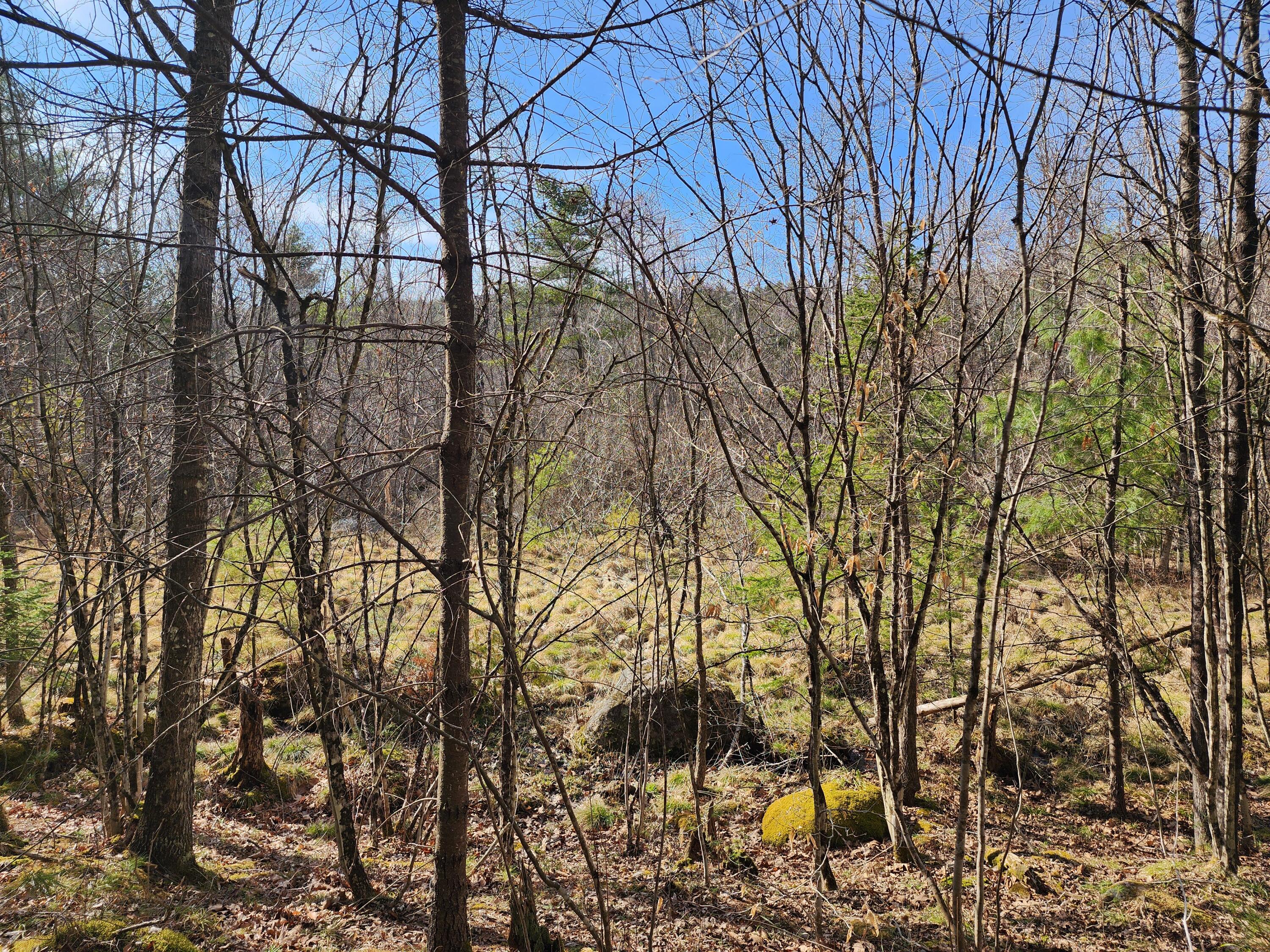 151 Church Lane Au Sable Forks NY 12912