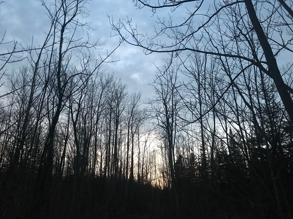 0 Plank Road Ellenburg NY 12933